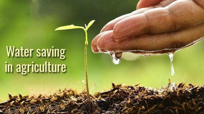 Forigo water-saving-agriculture 0 (2) buena|Forigo water-saving-1|Forigo water-saving-agriculture 0|Forigo water-saving-G35|Forigo water-saving-mulching|Forigo water-saving-sprinklers